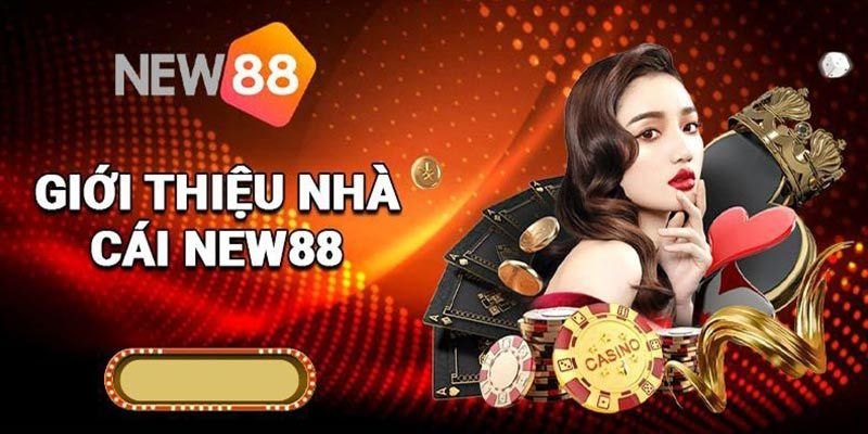 Tổng quan về sự đánh giá nhà cái New88 